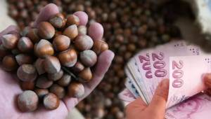 Fındık fiyatları çoştu