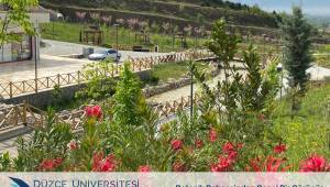 Düzce Üniversitesi Süs ve Tıbbi Bitkiler Botanik Bahçesi İlkbahar Renkleriyle Görsel Şölen Sunuyor