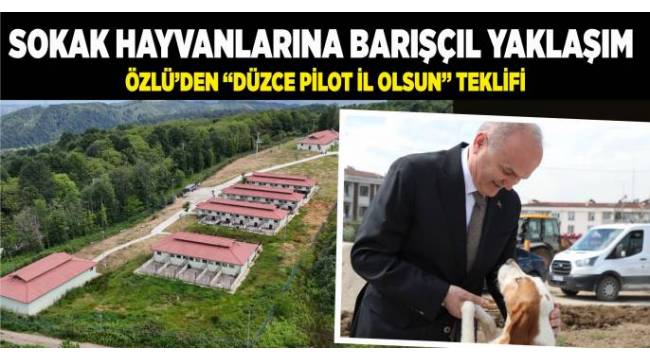 BAŞKAN ÖZLÜ’DEN SOKAK HAYVANLARI SORUNUNA ‘BARIŞÇIL’ YAKLAŞIMBAŞKAN ÖZLÜ’DEN SOKAK HAYVANLARI SORUNUNA ‘BARIŞÇIL’ YAKLAŞIM