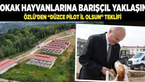 BAŞKAN ÖZLÜ’DEN SOKAK HAYVANLARI SORUNUNA ‘BARIŞÇIL’ YAKLAŞIMBAŞKAN ÖZLÜ’DEN SOKAK HAYVANLARI SORUNUNA ‘BARIŞÇIL’ YAKLAŞIM