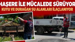 HAŞERE İLE MÜCADELE KONURALP’TE DEVAM EDİYOR