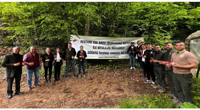 Kestane Gal Arısına Karşı Biyolojik Mücadele Devam Ediyor