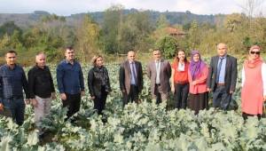 Yenilikçi Kadın Çiftçiler Brokoli Hasadında Ziyaret Edildi