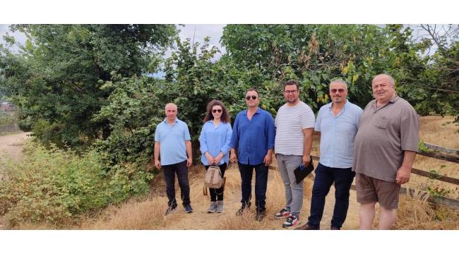 Akçakoca'da Fındık Bahçelerinde Zararlılar ve Kuraklık Alarmı
