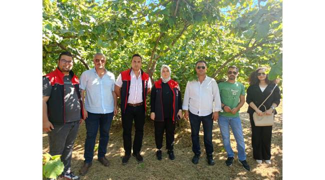 Akçakoca Ziraat Odası, Rekolte Çalışmalarına Katıldı