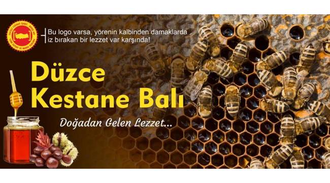 DÜZCE KESTANE BALI: DOĞANIN EŞSİZ ARMAĞANI