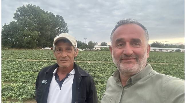 Düzce Tarım A.Ş. İlk Hasadını Gerçekleştirdi: Ürünler Türkiye Çapında Satışa Sunulacak