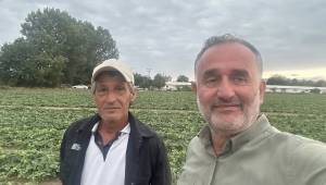 Düzce Tarım A.Ş. İlk Hasadını Gerçekleştirdi: Ürünler Türkiye Çapında Satışa Sunulacak