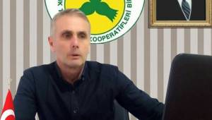 2025/2026 Fındık Sezonu Başladı: Akçakoca Fiskobirlik’ten Alım Bilgilendirmesi