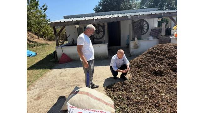 Kaymakam Pişkin'den Fındık Bahçesine Ziyaret: “Bereketli Bir Sezon Diliyoruz”
