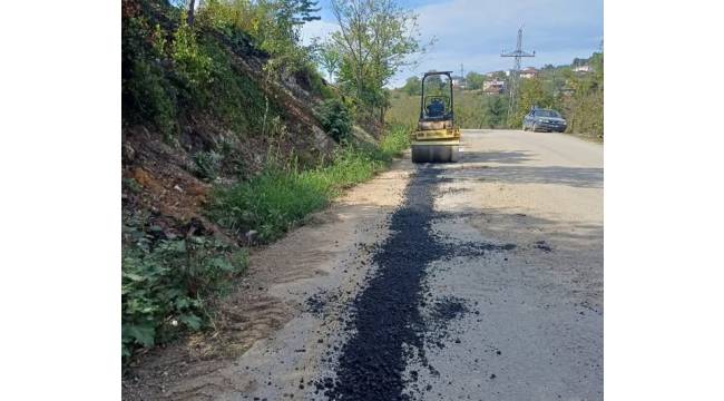 Çiçekpınar Köyü'nde Yol Bakım ve Onarım Çalışmaları Tamamlandı