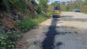 Çiçekpınar Köyü'nde Yol Bakım ve Onarım Çalışmaları Tamamlandı