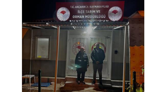 Akçakoca’da Hamsi Bereketi Devam Ediyor