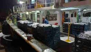 Akçakoca’da Hamsi Bereketi Devam Ediyor