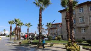 Akçakoca’da Yeşil Dönüşüm: Belediye Ekiplerinden Yoğun Mesai