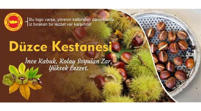 DÜZCE KESTANESİ BU AYIN “COĞRAFİ İŞARETLİ” YILDIZI