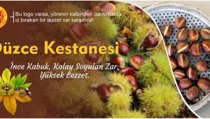 DÜZCE KESTANESİ BU AYIN “COĞRAFİ İŞARETLİ” YILDIZI