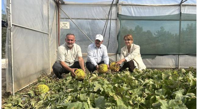Düzce Üniversitesi ile Tohumda Umut Veren İş Birliği