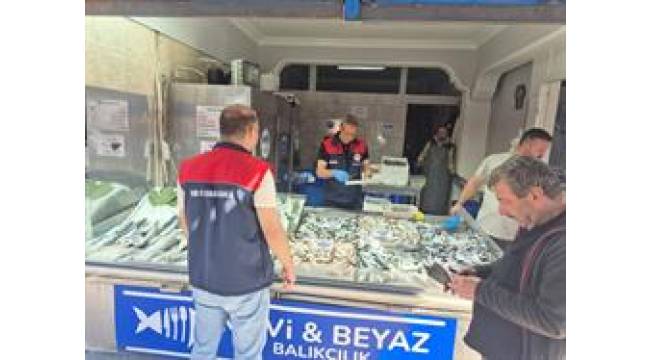 İLİMİZDE SU ÜRÜNLERİ DENETİMLERİ YAPILDI