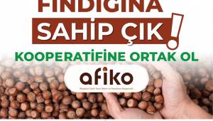 Akçakoca’da Fındık Üreticilerine Çağrı: “Fındığına Sahip Çık, Kooperatifine Ortak Ol”