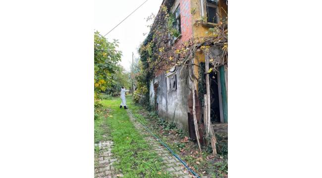 Akçakoca’da Kahverengi Kokarca ile Kışlak Mücadelesi Sürüyor