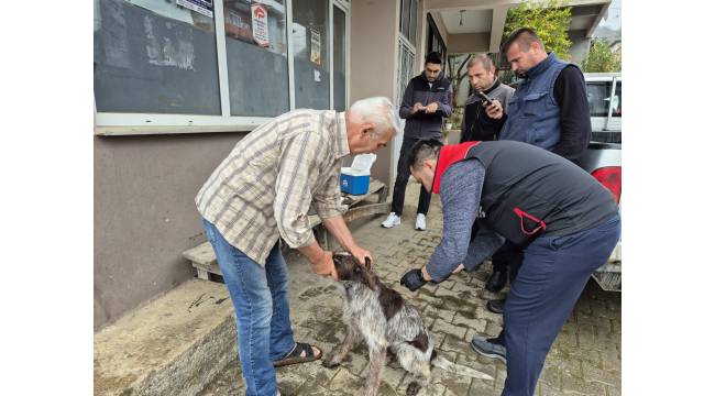 Akçakoca’da Kedi-Köpek Tanımlama ve Aşılama Çalışmaları Sürüyor