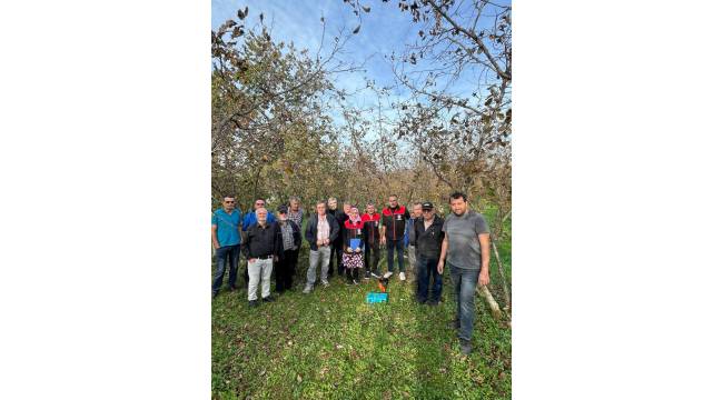 Akçakoca’da Üreticilere Fındık Budama Eğitimi Verildi