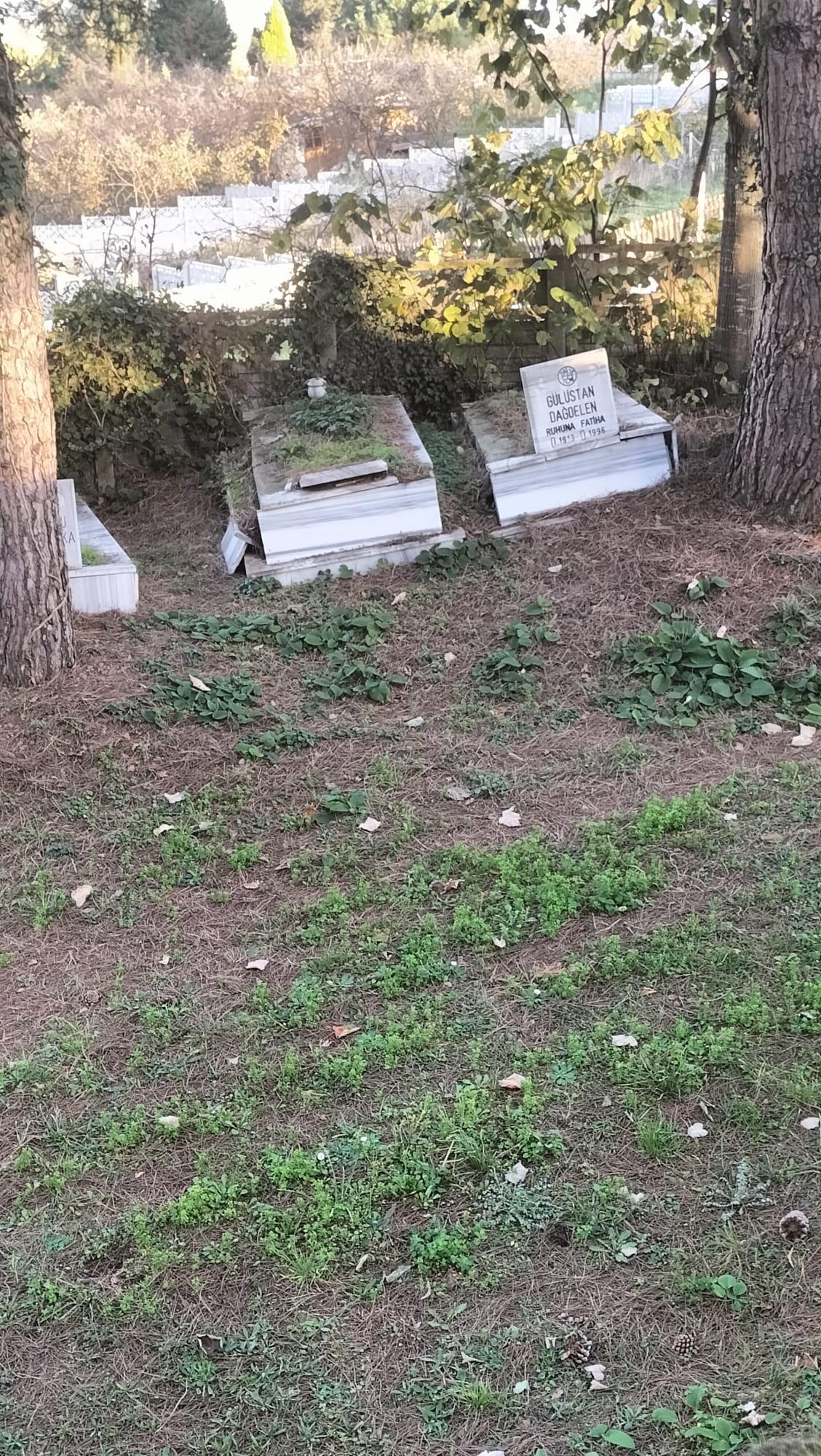 Akçakoca Kızılay Mezarlığı Bakımsızlıkla Gündemde: Kırık Mezar Taşları ve Ağaç Dalları Tepki Çekiyor