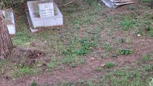 Akçakoca Kızılay Mezarlığı Bakımsızlıkla Gündemde: Kırık Mezar Taşları ve Ağaç Dalları Tepki Çekiyor