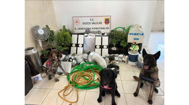 Düzce’de Bir Haftada 123 Olay: 35 Aranan Şahıs Yakalandı