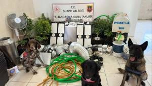 Düzce’de Bir Haftada 123 Olay: 35 Aranan Şahıs Yakalandı