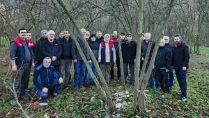 DÜZCE’DE FINDIKTA VERİM VE KALİTE İÇİN BUDAMA EĞİTİMLERİ SÜRÜYOR