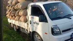 AFİKO, 2025–2026 Sezonu Fındık Alımlarına Başladı