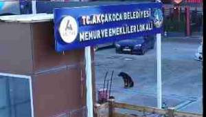 Başkan Fikret Albayrak: “Emeklilerimiz Bizim Baş Tacımız”