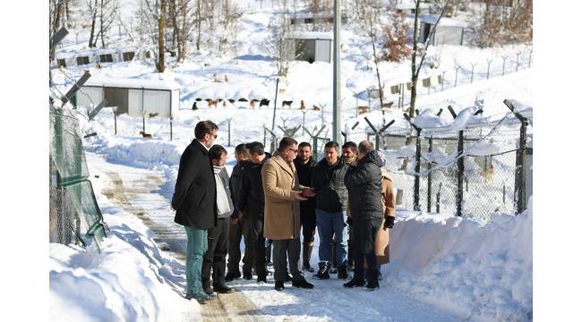 Vali Selçuk Aslan Kurtsuyu Hayvan Barınağı’nda İncelemelerde Bulundu