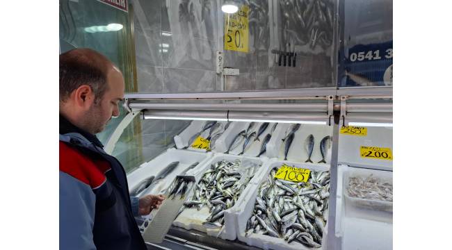 DÜZCE’DE AV YASAĞI ÖNCESİ BALIK SATIŞ YERLERİ VE İÇSULAR DENETLENDİ