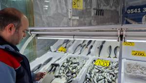 DÜZCE’DE AV YASAĞI ÖNCESİ BALIK SATIŞ YERLERİ VE İÇSULAR DENETLENDİ