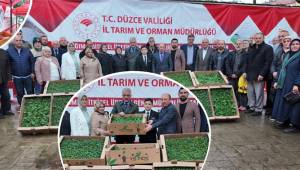 DÜZCE’DE 300 ÜRETİCİYE 110 BİN ADET FİDE DAĞITILDI