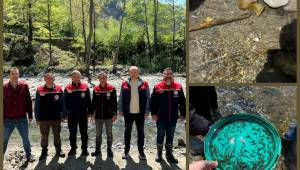 DÜZCE AKARSULARINA 50 BİN ADET KIRMIZI BENEKLİ ALABALIK YAVRUSU BIRAKILDI