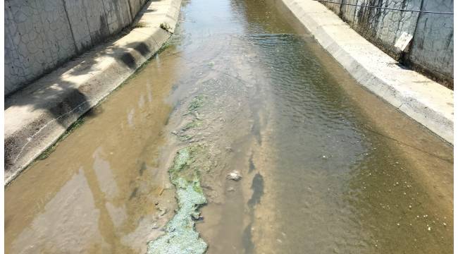 Akçakoca’da Çivi Deresi Alarm Veriyor: Esnaf ve Vatandaş Kötü Kokudan Şikayetçi