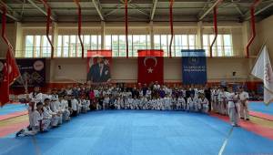 BATI KARADENİZ TAEKWONDO ŞAMPİYONASI AKÇAKOCA'DA GERÇEKLEŞTİRİLDİ