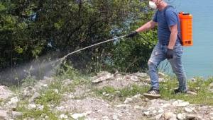 Haşereyle Mücadelede 1. Etap Tamamlandı
