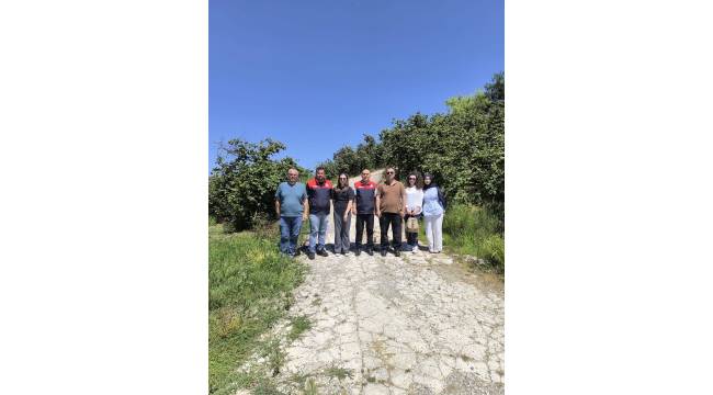 Akçakoca'da Fındık Rekolte Tespit Çalışmaları Sürüyor