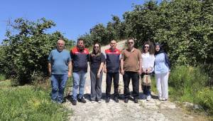 Akçakoca'da Fındık Rekolte Tespit Çalışmaları Sürüyor
