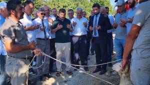 Paşalar–Kalkın–Tahirli Köylerini Birbirine Bağlayan 7 Kilometrelik Asfalt Yolunda Çalışmalar Sürüyor